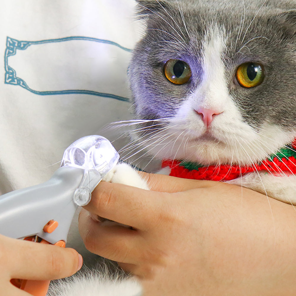 LED Pet Nagelknipper